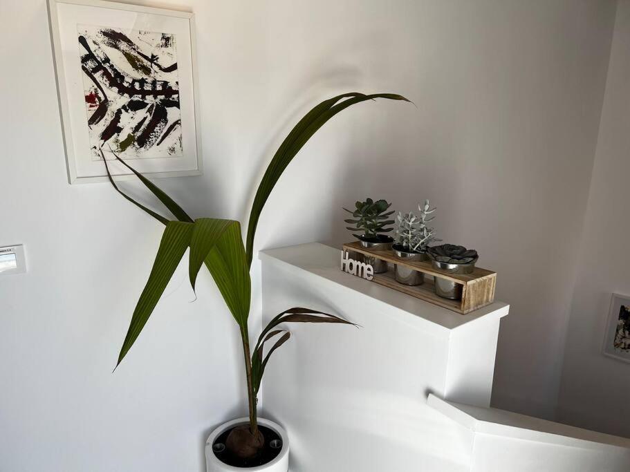 2B-Precioso Apartamento En Pleno Centro. A Estreno Alcazar de San Juan Bagian luar foto